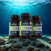 LivLean - 3 Bottles